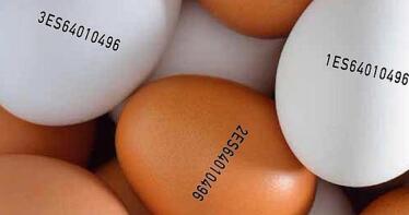 ¿Sabes qué significa el código que está impreso en el huevo?