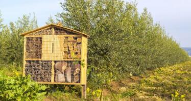 En Sevilla crían insectos en «hoteles» para controlar las plagas