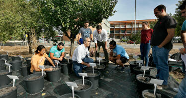 J. M. Urbano: «El impacto de las malas hierbas en los cultivos puede ser mayor al de las plagas»