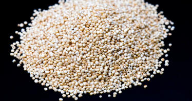 Sevilla, pionera en dar valor añadido a la quinoa