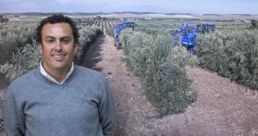 Raúl Aguayo: «Con los nuevos diseños de plantación, el olivar en seto es aún más rentable»