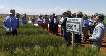Innovación para asegurar el futuro de los cultivos herbáceos