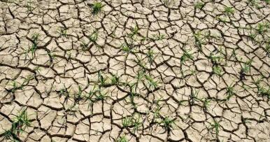 Aprobado un plan de choque para frenar la desertificación, una amenaza que afecta al 74% del territorio español