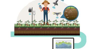 Tecnología para conocer la madurez del fruto pre cosecha