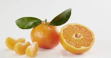 La mandarina «Tang Gold», una variedad única que no admite fraudes