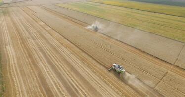 Los productores, desesperados: «Estamos inundados de grano ucraniano y con precios de hace 40 años»