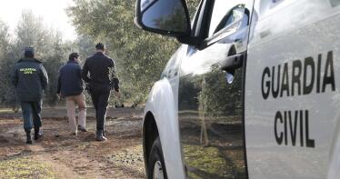 Recomiendan no dejar maquinaria o aceituna ya recogida para evitar robos en el campo