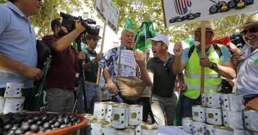 El sector de la aceituna de mesa, sobre Trump: «Estamos preocupados, y la UE también debería estarlo»