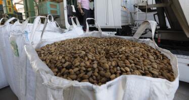 Precios prácticamente inmóviles en la Lonja de Albacete