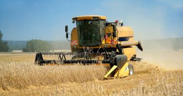 El rendimiento medio de los cereales en Andalucía es de casi 3,40 toneladas por hectárea