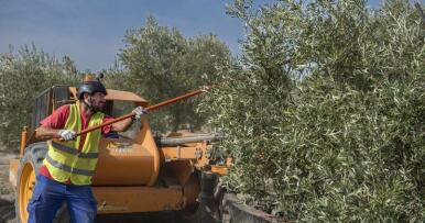 Se asignan más de 1,3 millones de euros de nuevos derechos de la reserva nacional a agricultores andaluces