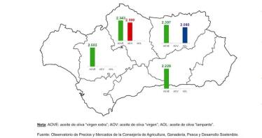 Semana 28: El mercado de aceite de oliva, estable y casi sin operaciones