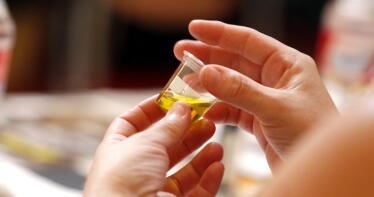 Cooperativas Agroalimentarias prevé una caída del 40% en la próxima campaña de aceite