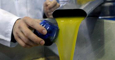 Aceite de oliva: un mercado «en pausa» a la espera de que mejoren los precios