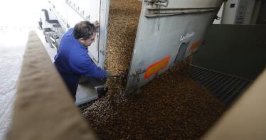 Las claves del nuevo pasaporte fitosanitario, en vigor desde el 14 de diciembre