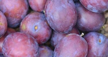 La fruta de hueso mantiene un «buen» ritmo de comercialización