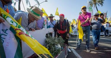 La movilización por los bajos precios del aceite se trasladará a Madrid