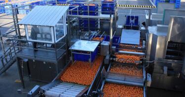Sube el precio de la naranja de industria en la Lonja de Córdoba