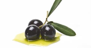 Jorge Alberola: «Hacía más de 15 años que no se daba una cosecha de mala calidad y precios altos»