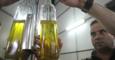 El aceite de oliva virgen extra aumenta sus ventas un 34% en la campaña 2024-25