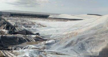 Temporal Dana: frutales y hortalizas, los cultivos andaluces más afectados