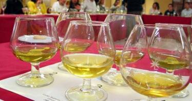 Europa pide más información sobre la autorregulación del aceite que propone España