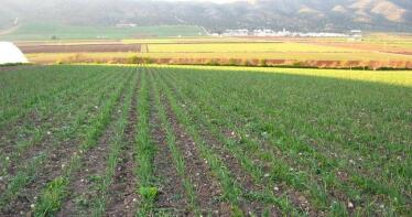 Andalucía se convierte en la primera región con una Ley de impulso a la producción ecológica