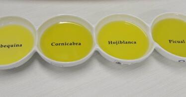 La Interprofesional del aceite de oliva pide una retirada obligatoria para equilibrar el mercado