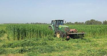 El Gobierno actualiza la normativa sobre uso sostenible de productos fitosanitarios