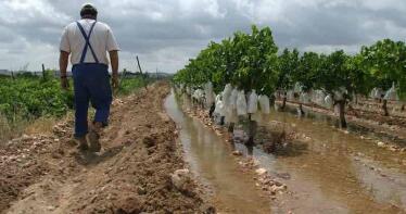 La UE empieza a trazar las bases de la PAC 2028/35 con la vista puesta en las pequeñas explotaciones