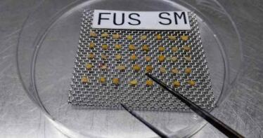 El método para desinfectar las semillas de tomate sin químicos