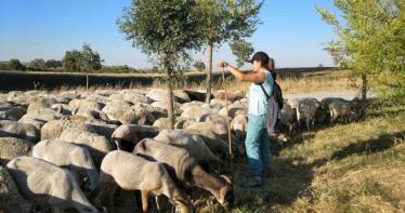 La Escuela de Pastores de 2026 se celebrará en Cortegana: aún está abierto el plazo para inscribirse