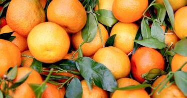 Poco movimiento en la Lonja de Córdoba