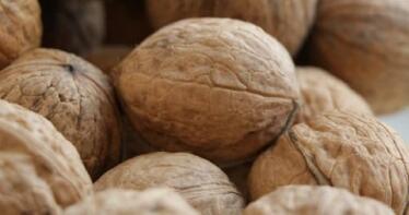 La campaña de nuez arranca con una previsible subida de la producción