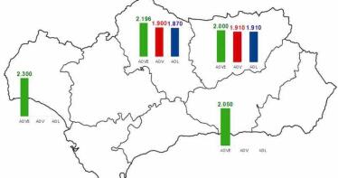 Aceite de oliva: precios bajos y poca actividad para empezar noviembre