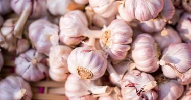 Baja un 20% la superficie destinada al cultivo del ajo en la provincia de Córdoba