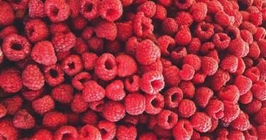 El sector da por concluida la campaña de frambuesa ante falta de rentabilidad