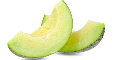 El cultivo de melón arranca con fuerza en el campo almeriense