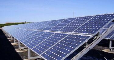 Asaja Málaga exige transparencia y consenso en la implantación de parques fotovoltaicos