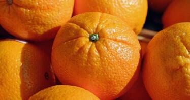 Aforo de cítricos: bajará casi un 5% la producción nacional, situándose en 6,7 millones de toneladas