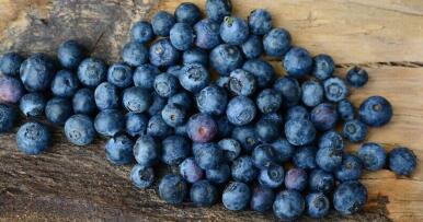 Los berries onubenses crecen impulsados por el arándano y pendientes de los terceros países