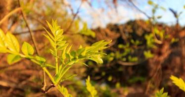 Andalucía comienza la tramitación del Anteproyecto de Ley para impulsar la producción ecológica