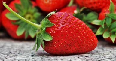 El sector fresero de Huelva solicita a Marruecos la salida de 9.000 trabajadoras