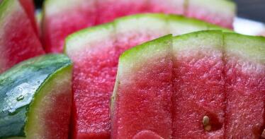 «No cortes en verde», la campaña que vela por la calidad del melón y la sandía almerienses 