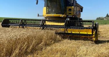 Los agricultores cerealistas, al límite: el cultivo no es rentable