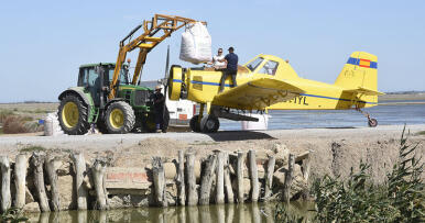 El proyecto de modernización de los regadíos del arroz sale de nuevo de los cajones de la CHG