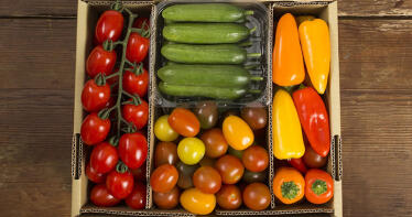 Tomate negro, sandía amarilla o snack de hortalizas, las innovaciones del agro almeriense