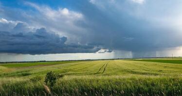 El mercado cerealista apura la estabilidad, aunque se prevé incertidumbre para las próximas semanas