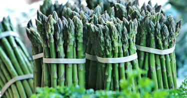 El espárrago, un nuevo producto en el Condado de Huelva