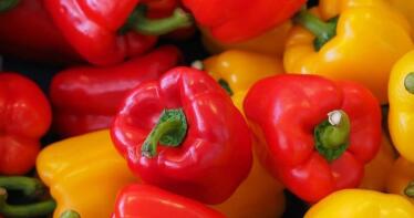 El pimiento español, cada día más cerca del mercado estadounidense